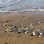 Waterfront In 53921 Bibione