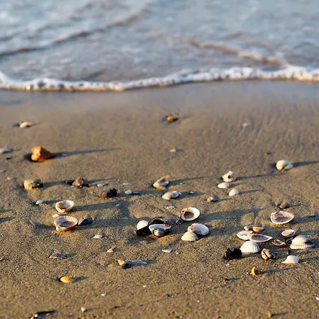 Waterfront In 53921 Bibione