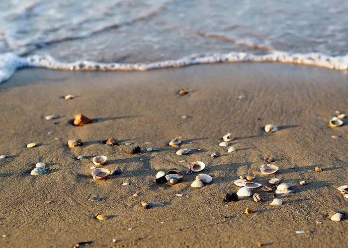 Waterfront In 53921 Bibione